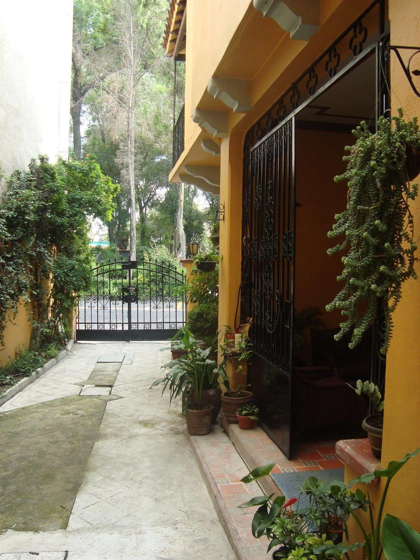 Bed and Breakfast La Querencia Df Мехико Экстерьер фото